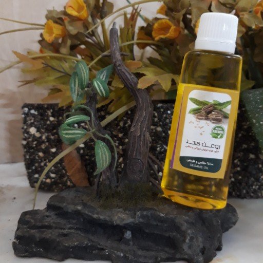 روغن کنجد مالشی فدک (جوان سازی پوست)