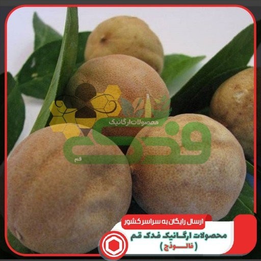 لیمو عمانی فدک (200گرم)