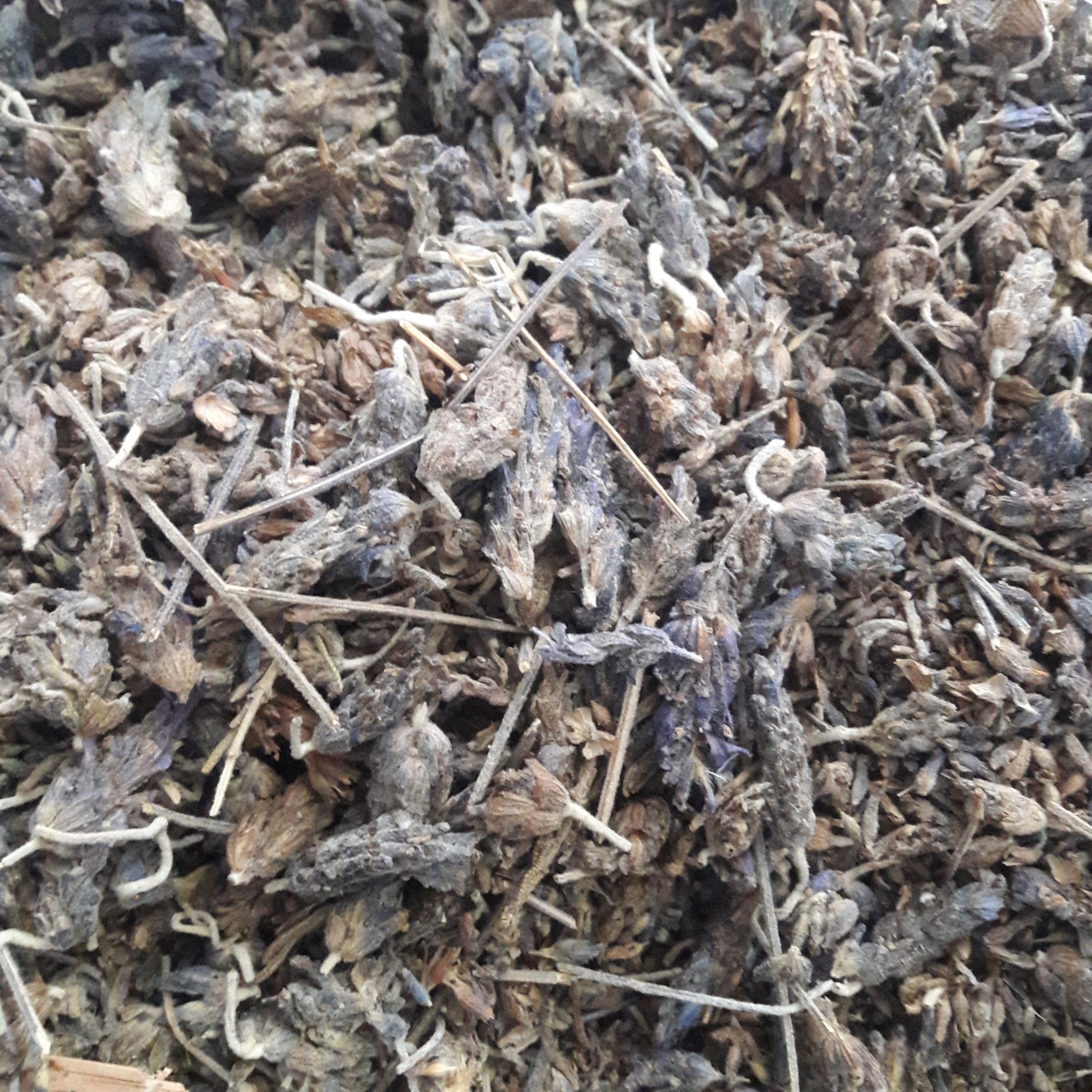 اسطوخودوس اعلاء (100گرمی) لوندر