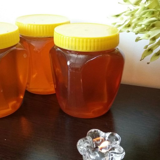 پک 3 عددی عسل گون طبیعی و با تخفیف ویژه (2850 گرم )