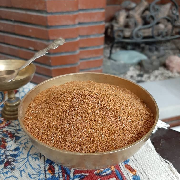 خاکشیر امساله
