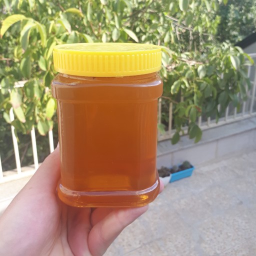 عسل گون درجه یک