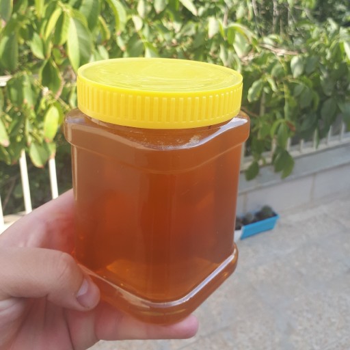 عسل گون درجه یک