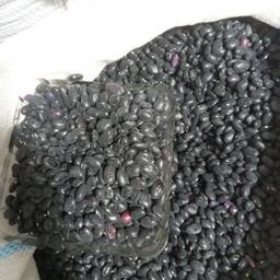 لوبیا سیاه پانزده کیلو ارسال رایگان مخصوص فروشندگان