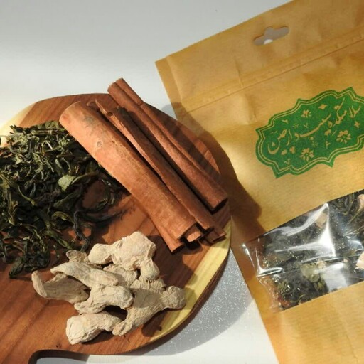 دمنوش مخلوط چای سبز دارچین زنجبیل