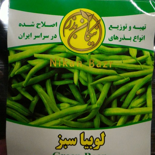 بذر لوبیا سبز 1