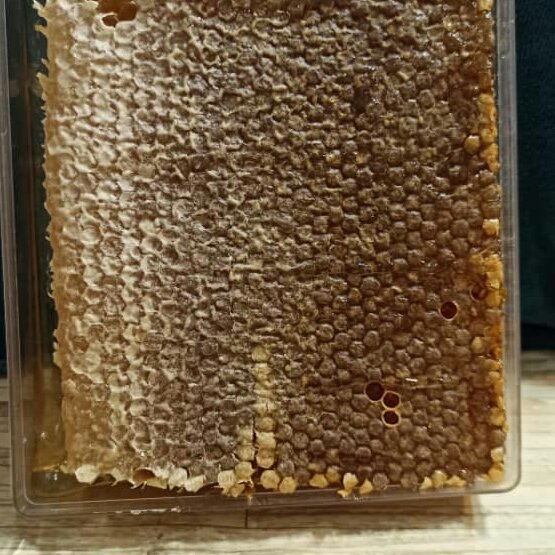 عسل شان بواناخ