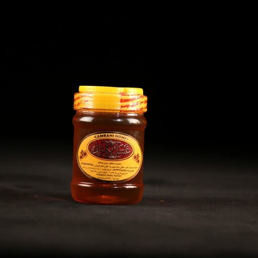 عسل گشنیز طعم دار  500 گرمی ارسال رایگان