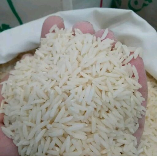  برنج ایرانی برنج هاشمی درجه یک کیسه ده کیلویی خوش طعم و خوش عطر و طعم عالی مستقیم شالیزار