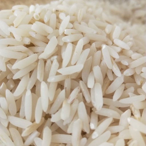 برنج هاشمی (جمشید جو) 99 بسته 10 کیلویی