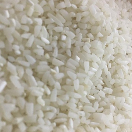 برنج سرلاشه طارم هاشمی 5کیلویی ارسال (رایگان)
