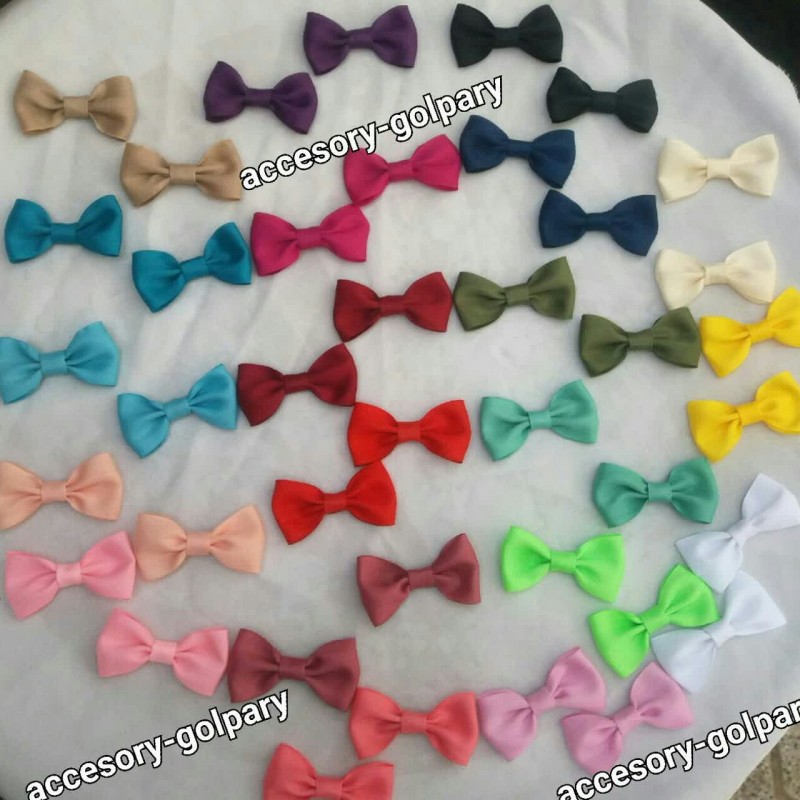 گلسر پاپیون رنگی