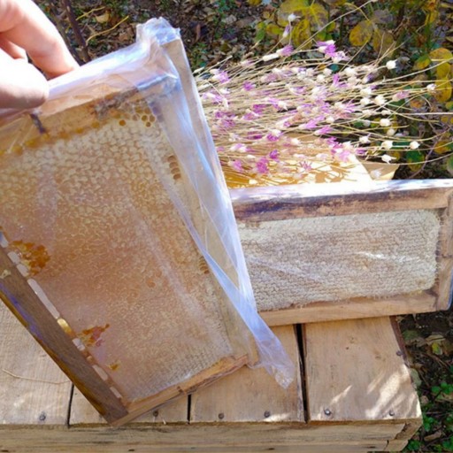 عسل طبیعی دامنه سبلان موم دار