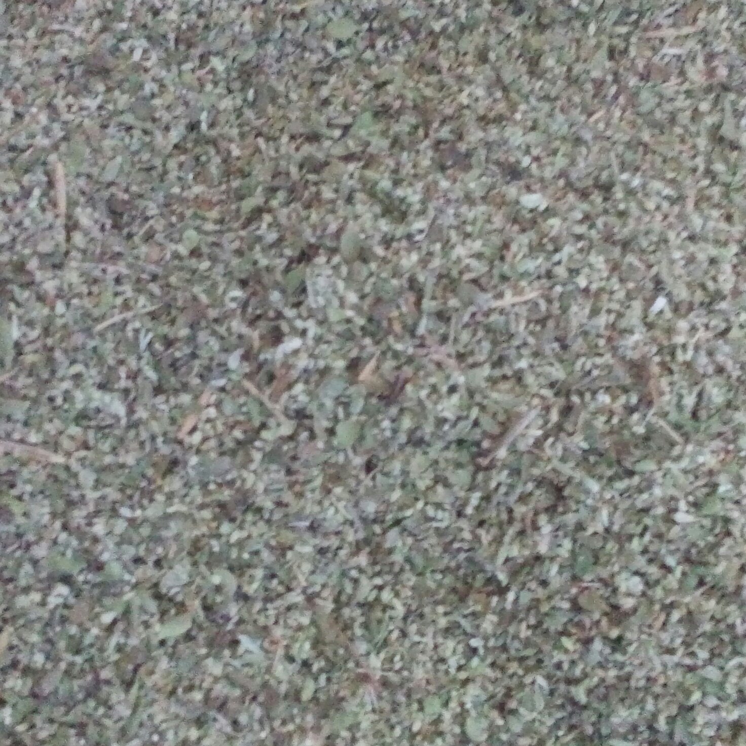 گل آویشن شیرازی فروش عمده (ده کیلو)
