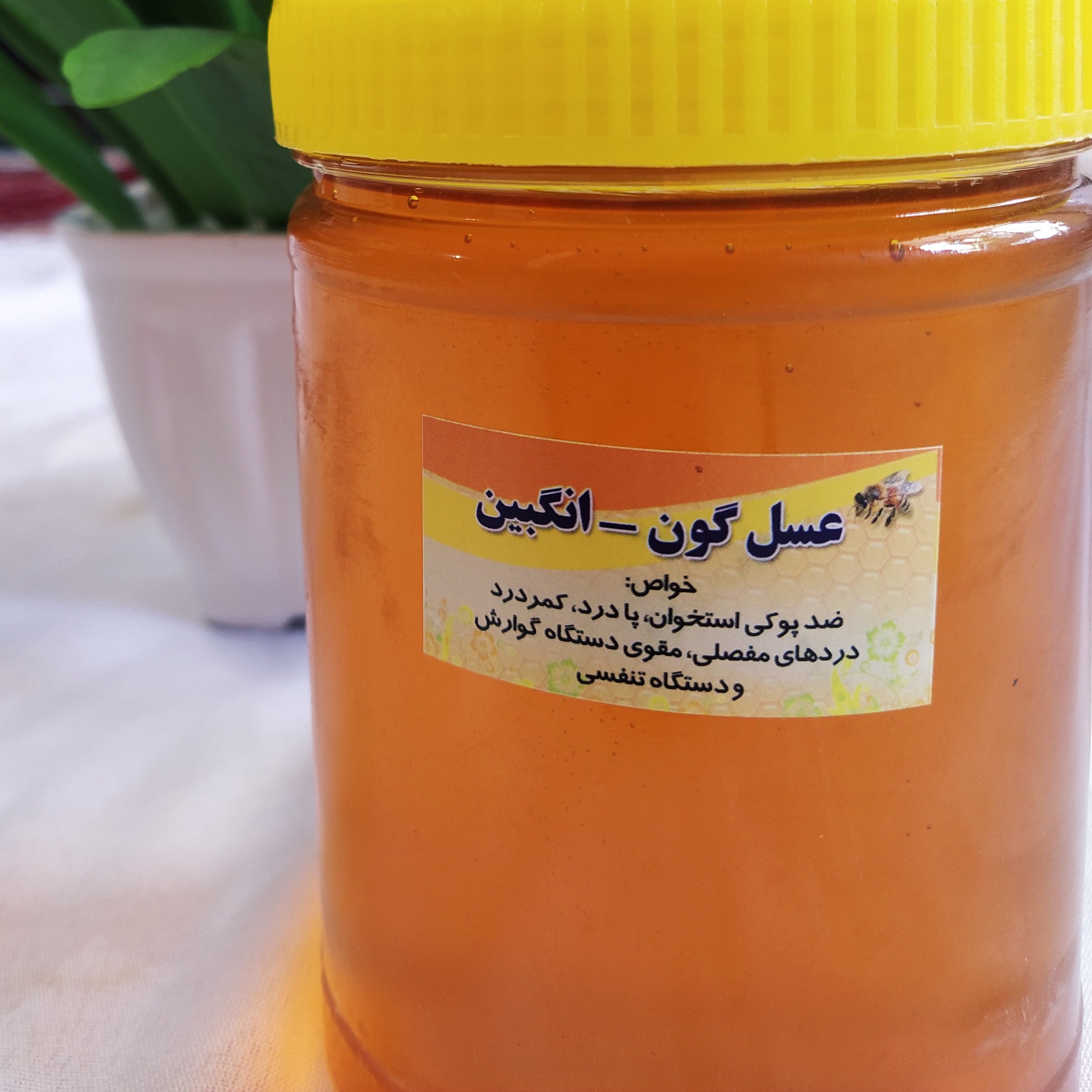 عسل گون انگبین