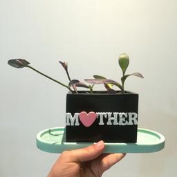 گلدان بتنی طرح مادر مدل مکعب مستطیل