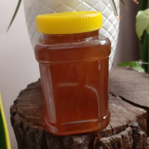 عسل درمانی گارچی(چویل)