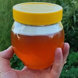 عسل بدون موم نیمه طبیعی در بسته بندی 1 کیلویی 