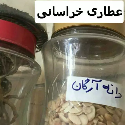 روغن آرگان 62cc  اصلی مراکشی