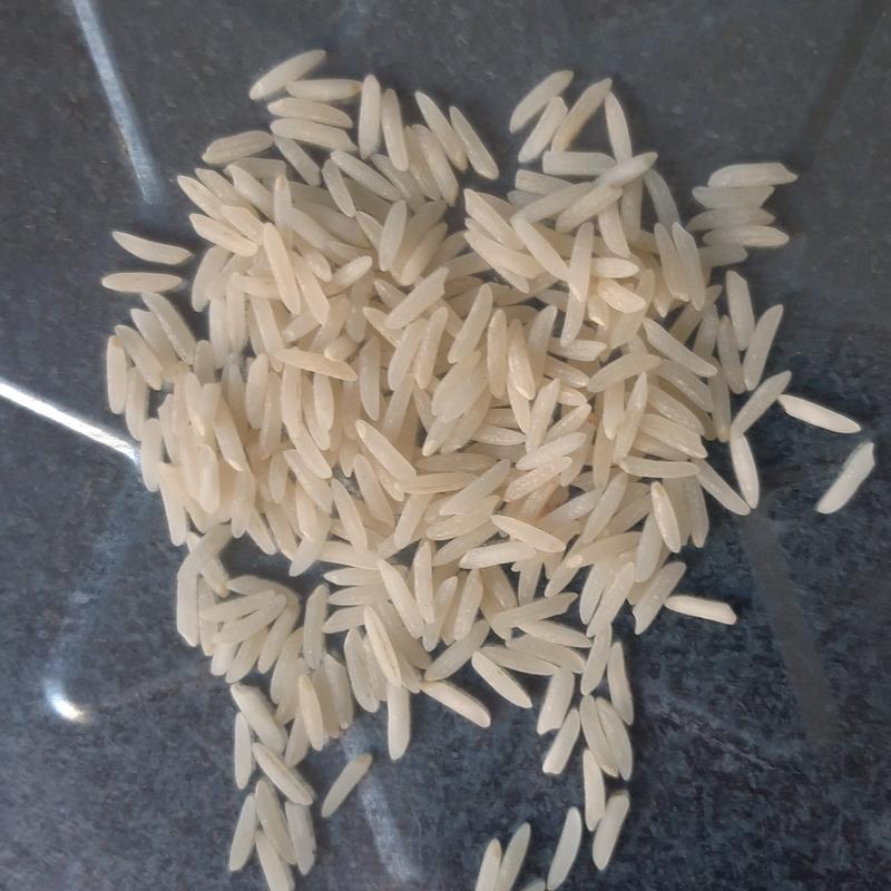 برنج فجر مارک هایلی  خوشپخت درجه یک ده کیلویی،