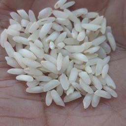 برنج عنبر بوی باران