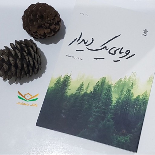 کتاب رویای یک دیدار