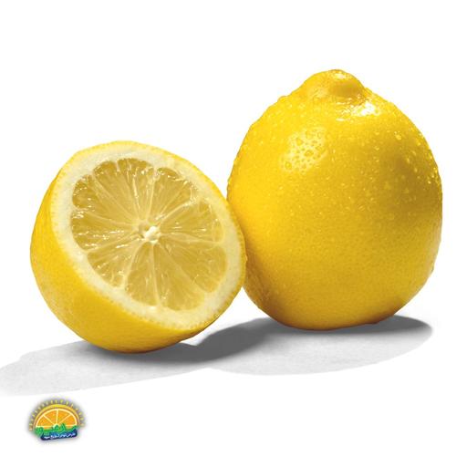 لیمو ترش سنگی ممتاز سان میوه