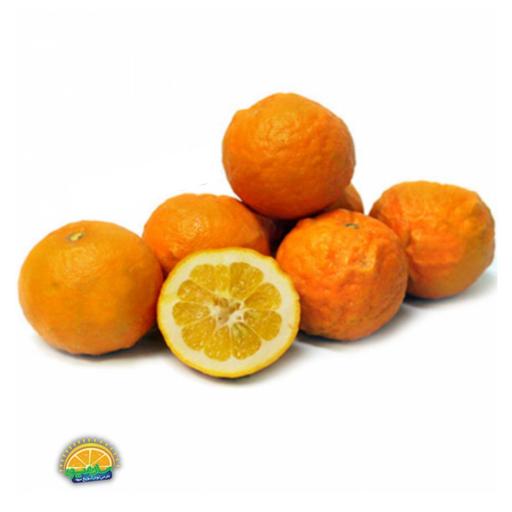 نارنج آبدار ممتاز سان میوه