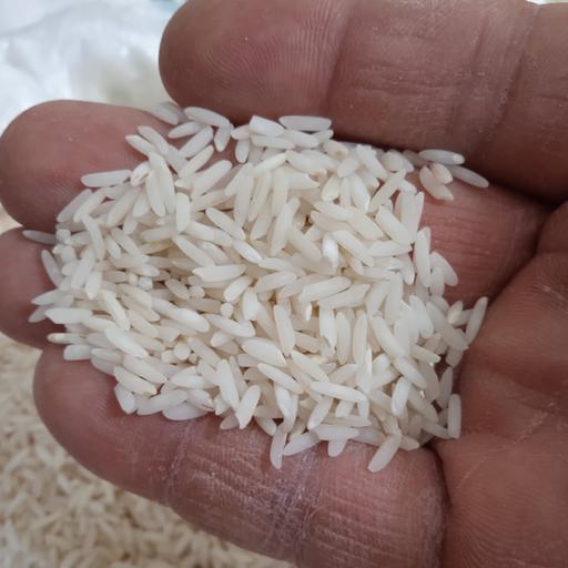 برنج طارم محلی معطر فریدونکنار (10کیلویی)