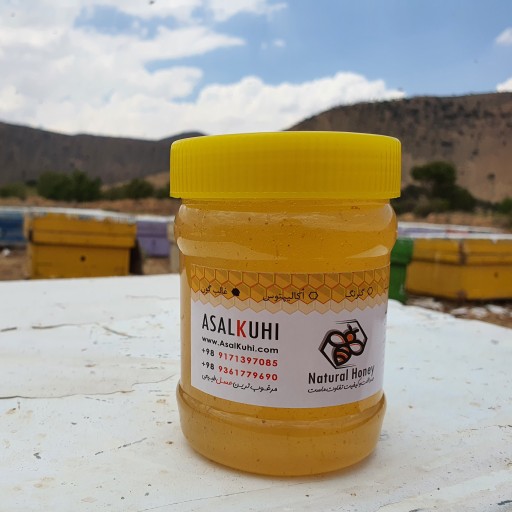 عسل گون-500 گرم، عسل طبیعی گون گز انگبین ارگانیک و خام 