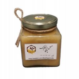 عسل ارگانیک چند گیاه رس بسته خام پلنگا 1کیلو گرم