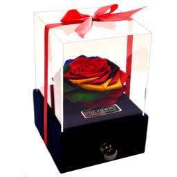 رز جاودان دکوفیوره مدل جعبه جواهرات و کارت هدیه طرح گل رنگارنگ