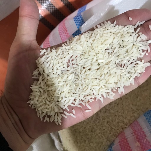 برنج هاشمی بدون الک
