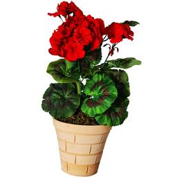 گلدان به همراه گل مصنوعی مدل شمعدانی کد sh4a