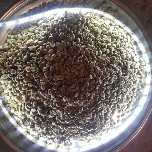دانه قهوه سبز اندونزی تازه و درجه یک اصل(یک کیلو)