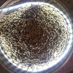 دانه قهوه سبز اندونزی تازه و درجه یک اصل(500گرم)