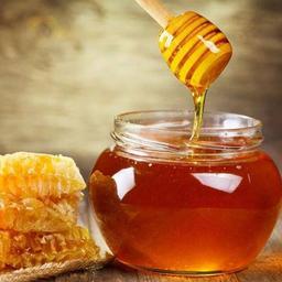 عسل انگبین محصولی از کوه های خوانسار