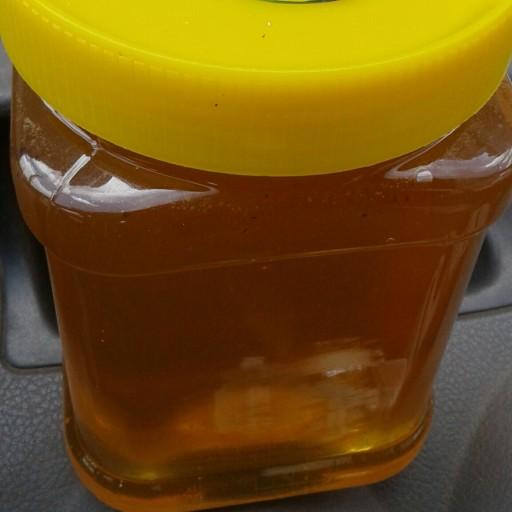 عسل انگبین 1 کیلوگرم