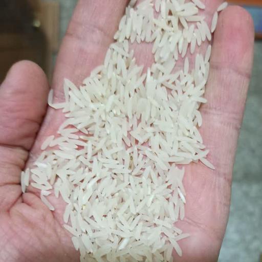 برنج فجر (5کیلوئی) خوش عطر صداقت