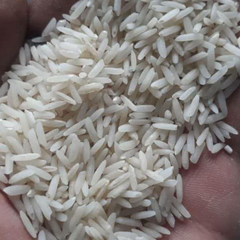 برنج کشت دوم (5 کیلویی) طارم هاشمی معطر پاک شده صداقت