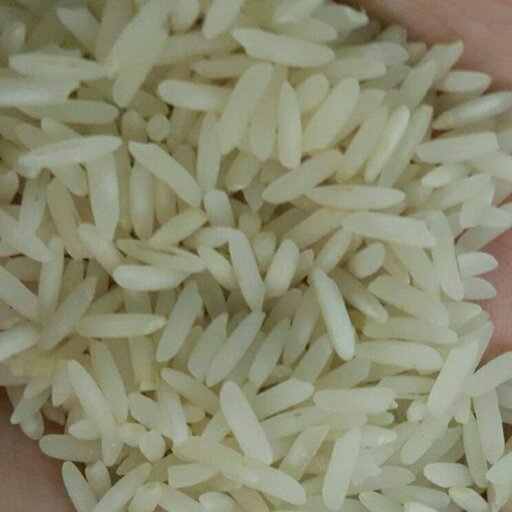 برنج نیمه دودی اعلای زغالی هاشمی آستانه اشرفیه
