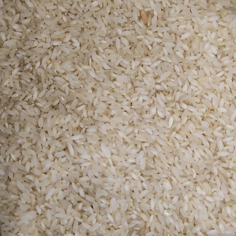 برنج کامفیروز رستگار درجه یک با عطر و پخت عالی (کاملا تضمینی)