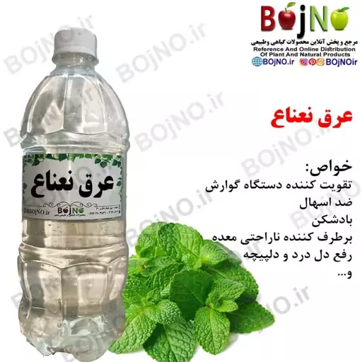 عرق نعناع سنتی بجنو (آب چشمه)