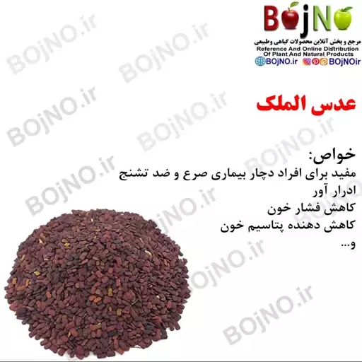 عدس الملک(بسته 50گرمی)