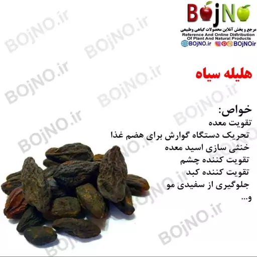 هلیله سیاه 100گرمی