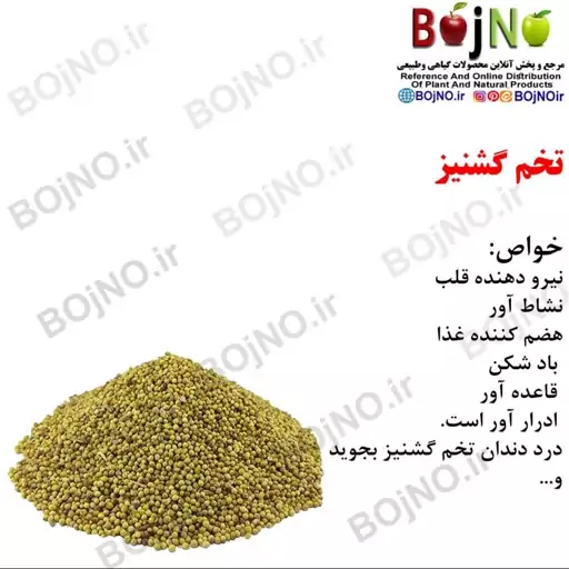 تخم گشنیز 100گرمی