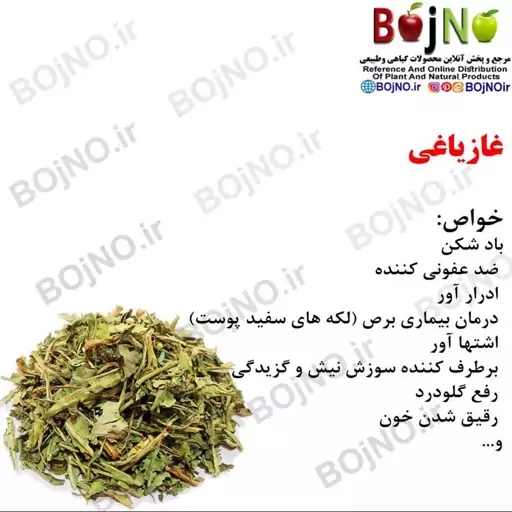 غازیاغی 100گرمی