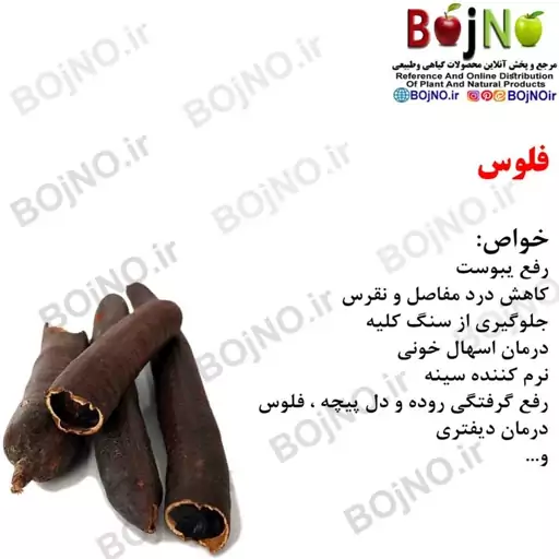 فلوس 100گرمی