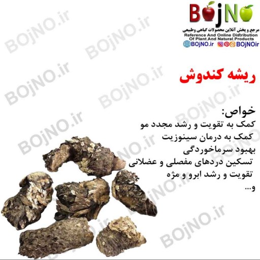 ریشه کندوش(بسته 50گرمی)