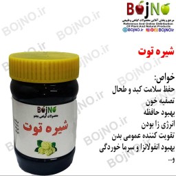 شیره توت (نیم کیلویی) بجنو